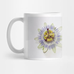 Isolated Bluecrown Passiflora Mug